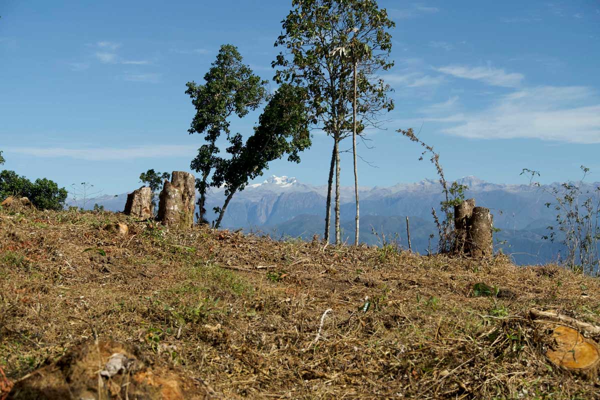 Recorriendo la Sierra Nevada