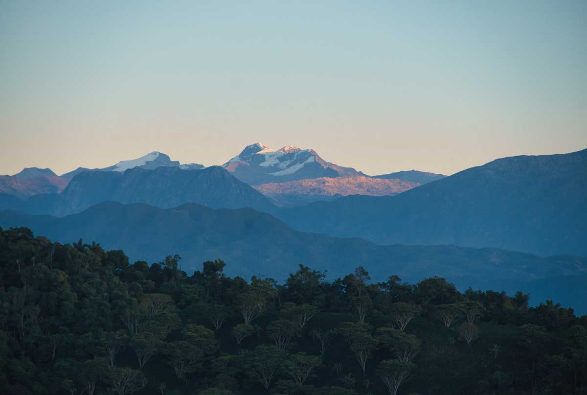 Paz con la Naturaleza